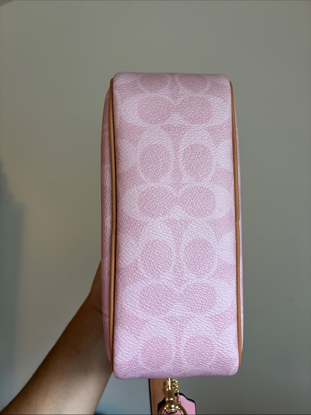 Coach Powder Pink Mini Carey Crossbody Bag In Signature Canvas NWOT - Picture 5 of 12